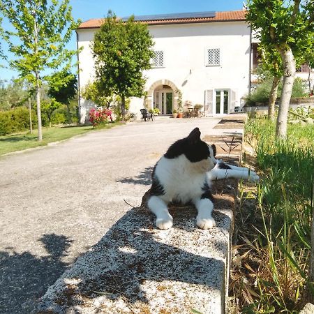 Le Piracante Caiazzo Εξωτερικό φωτογραφία