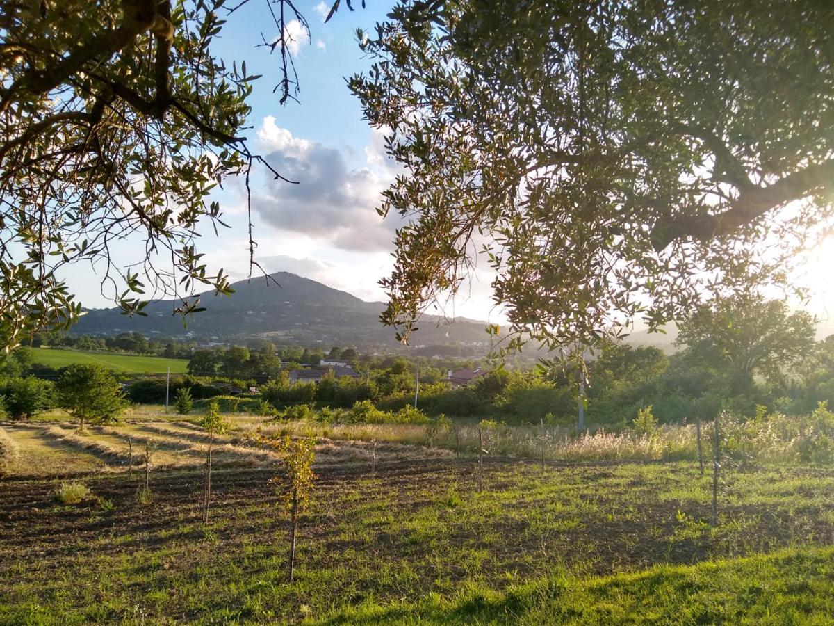 Le Piracante Caiazzo Εξωτερικό φωτογραφία