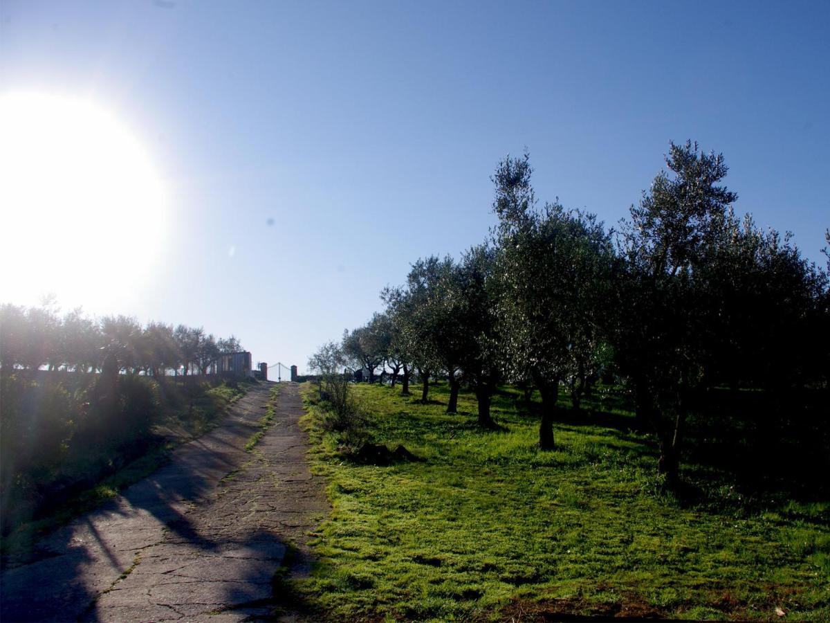 Le Piracante Caiazzo Εξωτερικό φωτογραφία