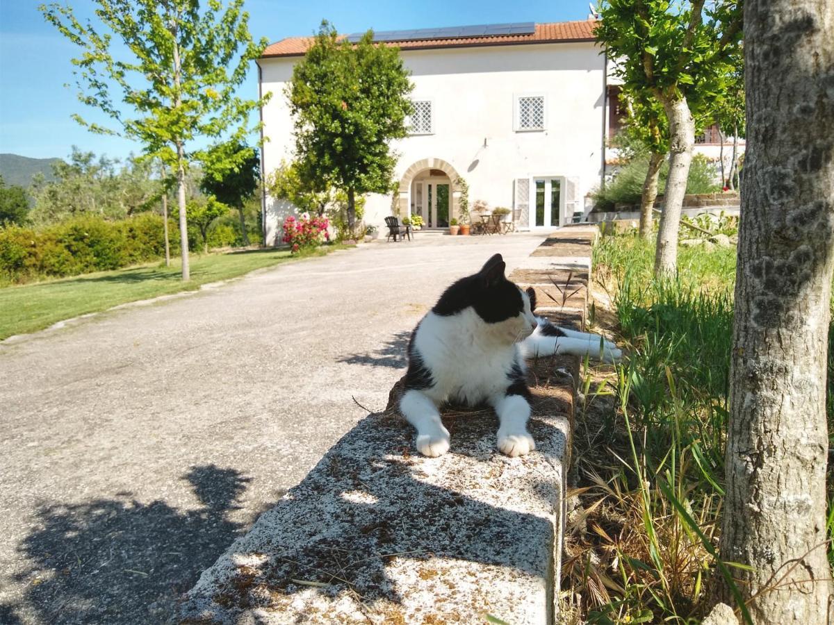 Le Piracante Caiazzo Εξωτερικό φωτογραφία
